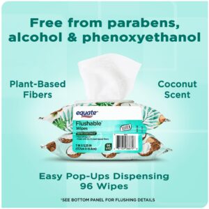 Equate Flushable Wet Wipes, Coconut Scent, 96 Wipes (2 Pack) - Image 7