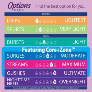 Equate Options Women's Incontinence Pads, Moderate Absorbency, Regular Length (72 Count), Compare to Poise® - Image 6