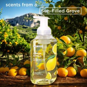 Scent Theory Foaming Hand Soap, Lemon Citrus, 11 fl oz - Image 3