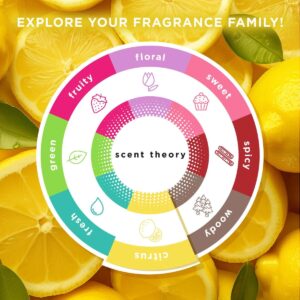 Scent Theory Foaming Hand Soap, Lemon Citrus, 11 fl oz - Image 4