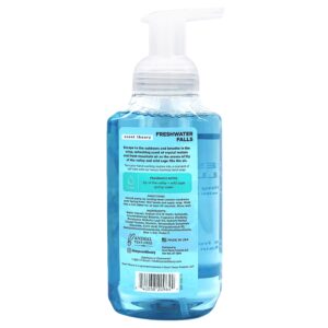 Scent Theory Foaming Hand Soap, Freshwater Falls, 11 fl oz - Image 9