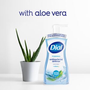 Dial Antibacterial Foaming Hand Wash Refill, Spring Water, 30 Ounce
