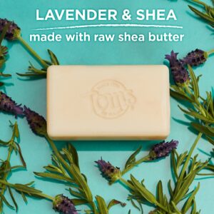 Tom’s of Maine Natural Beauty Bar Soap For Women and Men, Lavender & Shea, 5 oz Bar - Image 4