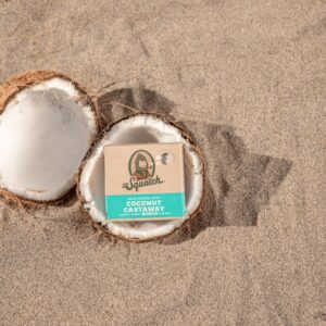 Dr. Squatch Natural Bar Soap 9 Pack - Pine Fresh - Image 4