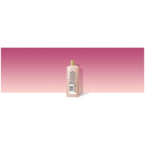 Caress Daily Silk Body Wash, 18 oz - Image 4