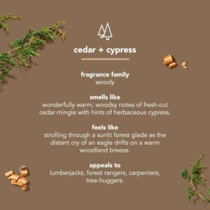 Method Men, Cedar + Cypress Body Wash, 18oz - Image 3