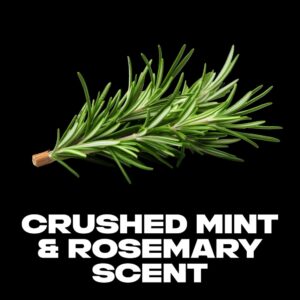 AXE Phoenix Antiperspirant Deodorant for Men Mint & Rosemary, 2.7 oz - Image 6