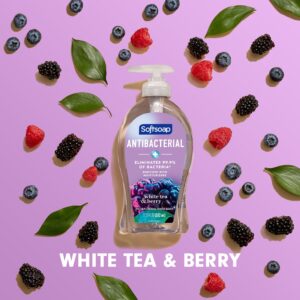 Softsoap Antibacterial Liquid Hand Soap, White Tea and Berry, 11.25 Fluid Ounce Bottle - Image 5