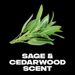 Axe Apollo Long Lasting Men's Deodorant Stick Twin Pack, Sage and Cedarwood, 3 oz - Image 6