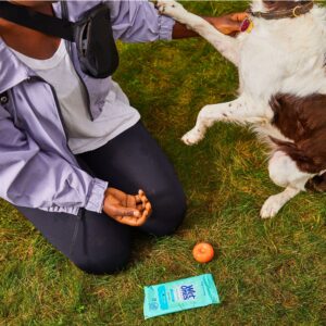 Wet Ones Sensitive Skin Hand Wipes, Fragrance Free, 20 Ct Travel Pack, Hypoallergenic - Image 5