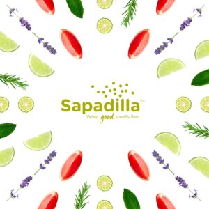 Sapadilla Liquid Hand Soap - Rosemary + Peppermint - Made with 100% Pure Essential Oil Blends, Cleansing & Moisturizing, Aromatic & Fragrant Hand Soap, Plant Based, Biodegradable, 12 Ounce (Pack of 1) - Image 7