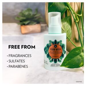 L. Fragrance Free Daily Care Foaming Wash, pH Balanced, Free from Fragrances, Sulfates or Parabens, 6 fl oz - Image 6