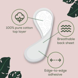 L. Ultra Thin Liners for Women, Regular, 100% Pure Cotton Top Layer 100 Ct - Image 3