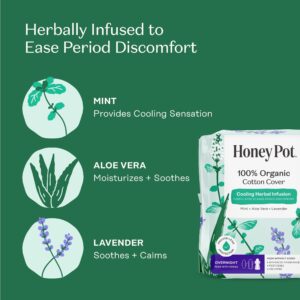 Honey Pot 100% Organic Cotton Cover Cooling Herbal Infusion Overnight Pads, 12 Count