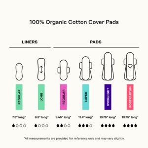 Honey Pot 100% Organic Cotton Cover Cooling Herbal Infusion Overnight Pads, 12 Count