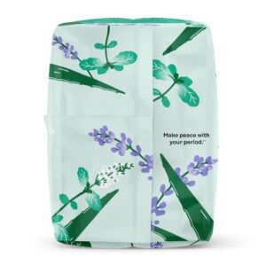 Honey Pot 100% Organic Cotton Cover Cooling Herbal Infusion Overnight Pads, 12 Count