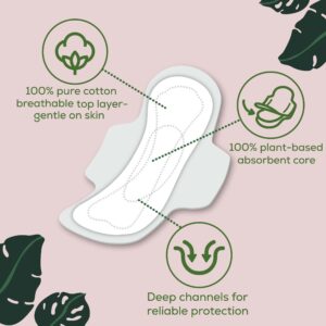 L. Ultra Thin Pads, Super Absorbency, 42 Ct, 100% Pure Cotton Top Layer - Image 3