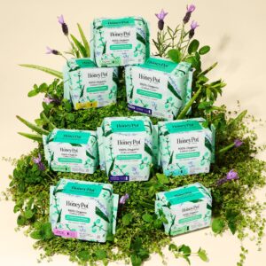 Honey Pot 100% Organic Cotton Cover Cooling Herbal Infusion Heavy Flow Daytime Pads, 16 Count&nbsp - Image 4