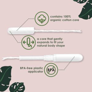 L. Organic Cotton Super Absorbency Tampons, 30 Count&nbsp - Image 3