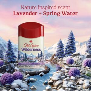 Old Spice Men's Antiperspirant Deodorant Invisible Solid Stick, Wilderness with Lavender, 2.6oz - Image 4