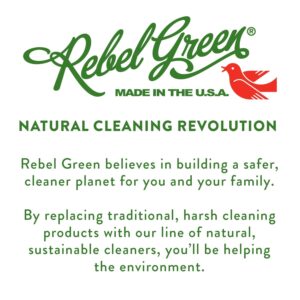 Rebel Green Fresh & Clean Hand Soap - Moisturizing Natural Bathroom & Kitchen Liquid Soap - Gentle Household Hand Wash - Peppermint & Lemon, 12 Fl Oz (Pack of 2) - Image 2