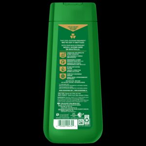 Irish Spring Mountain Chill Moisturizing Body Wash for Men, 24-Hour Fresh, Face and Body Wash, Men’s Body Wash, Biodegradable Ingredients, Paraben Free, Cool Fresh Scent, 20 fl oz Bottle - Image 3