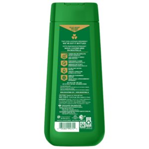 Irish Spring Mountain Chill Moisturizing Body Wash for Men, 24-Hour Fresh, Face and Body Wash, Men’s Body Wash, Biodegradable Ingredients, Paraben Free, Cool Fresh Scent, 20 fl oz Bottle - Image 9