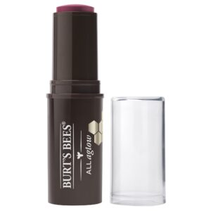 Burts Bees 100% Natural All Aglow Lip & Cheek Stick, Suez Sands - 1 Tube - Image 20
