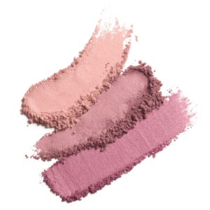COVERGIRL Instant Cheekbones Contouring Blush, 220 Purely Plum, 0.29 oz