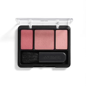 COVERGIRL Instant Cheekbones Contouring Blush, 220 Purely Plum, 0.29 oz