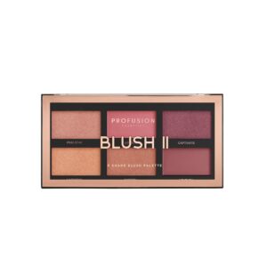 Profusion Cosmetics Blush I 6 Color - Image 8