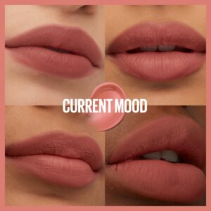 Maybelline Super Stay Teddy Tint, Long Lasting Matte Lip Stain, Wild At Heart, 0.17 fl oz - Image 16