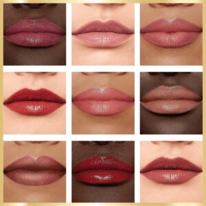 L'Oreal Paris Colour Riche Original Satin Lipstick for Moisturized Lips, 766 Plum Explosion - Image 62