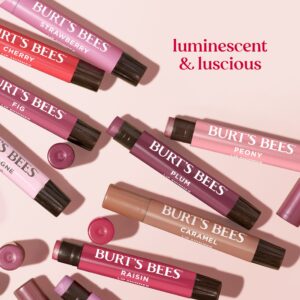 Burts Bees Lip Shimmer Peony 1 Tube, 0.09 Oz. - Image 10