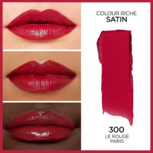 L'Oreal Paris Colour Riche Original Satin Lipstick for Moisturized Lips, 766 Plum Explosion - Image 83