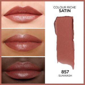 L'Oreal Paris Colour Riche Original Satin Lipstick for Moisturized Lips, 766 Plum Explosion - Image 95