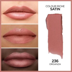 L'Oreal Paris Colour Riche Original Satin Lipstick for Moisturized Lips, 766 Plum Explosion - Image 214