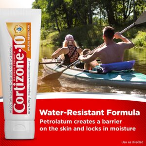 Cortizone-10 Maximum Strength 1% Hydrocortisone Anti-Itch Water Resistant Ointment 2oz - Image 4