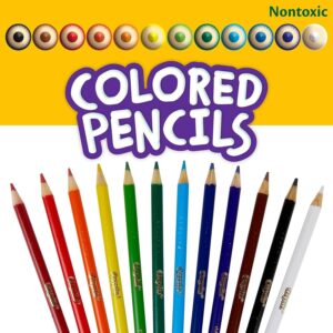 Crayola Bulk Colored Pencils, Pre-sharpened, Bulk School Supplies for Teachers, 12 Assorted Colors, Pack of 24 - Image 2