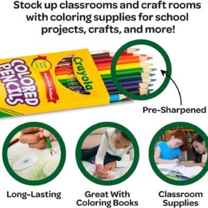 Crayola Bulk Colored Pencils, Pre-sharpened, Bulk School Supplies for Teachers, 12 Assorted Colors, Pack of 24 - Image 6