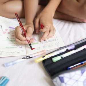 Maped Graph'Peps Medium Tip Triangular Felt Pens in Reusable Case - 12 Colors, Multi-Color - Image 2