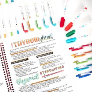 Zebra Mildliner Double Ended Creative Marker – Gray