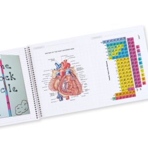 Five Star Interactive Notebook, 1 Subject, Wide Ruled, 3 Pack, Black & Amethyst Purple - Image 4