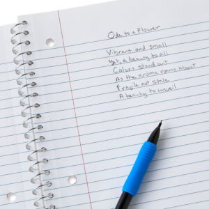 Pen+Gear 1 Subject Notebook, College Ruled, 8" x 10.5", Red and Pink Starburst, 70 Sheets - Image 5