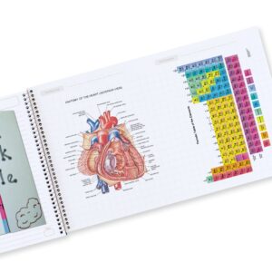 Five Star Interactive Notebook, 1 Subject, Wide Ruled, 6 Pack - Image 4