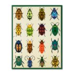 Pen+Gear Letter Size 2-Pocket Paper Folder, 9.4″ x 11.4″, Multicolor Beetles