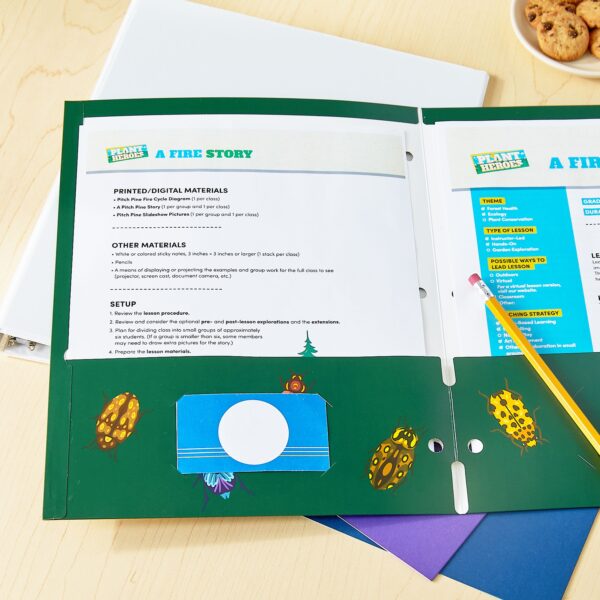 Pen+Gear Letter Size 2-Pocket Paper Folder, 9.4″ x 11.4″, Multicolor Beetles