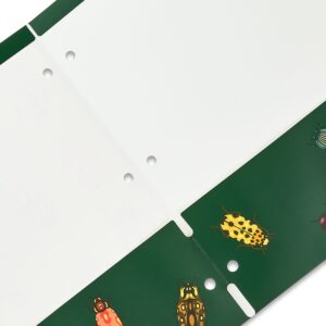 Pen+Gear Letter Size 2-Pocket Paper Folder, 9.4″ x 11.4″, Multicolor Beetles