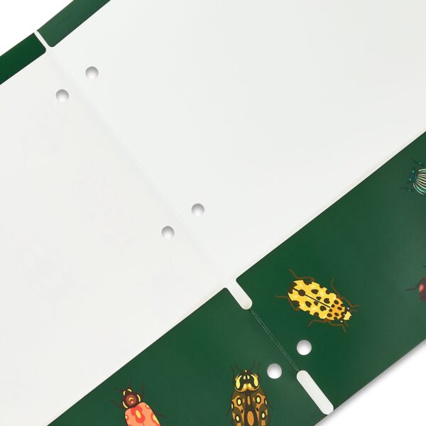 Pen+Gear Letter Size 2-Pocket Paper Folder, 9.4″ x 11.4″, Multicolor Beetles