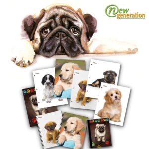 New Generation Pocket Folders, 2-Pocket Folders with Two Pockets and 3 Hole Punched, Assorted Colors, 6 Count